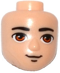 20098